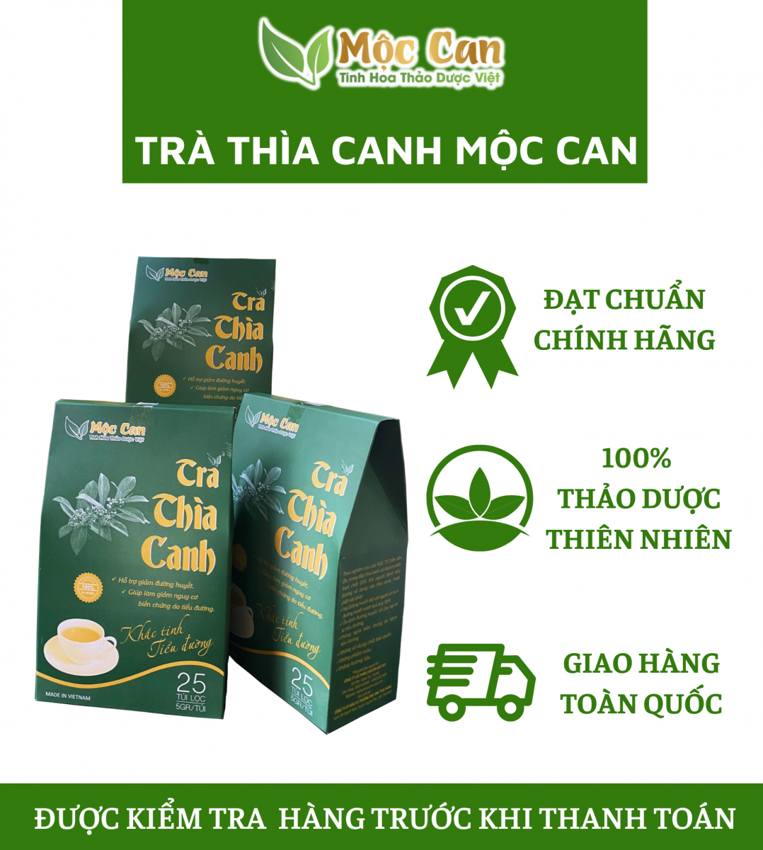 Cây dây thìa canh  1